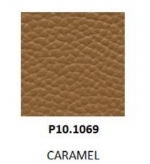 CARAMEL LEATHER COLOR  